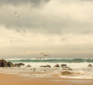 Autonoleggio Amadora